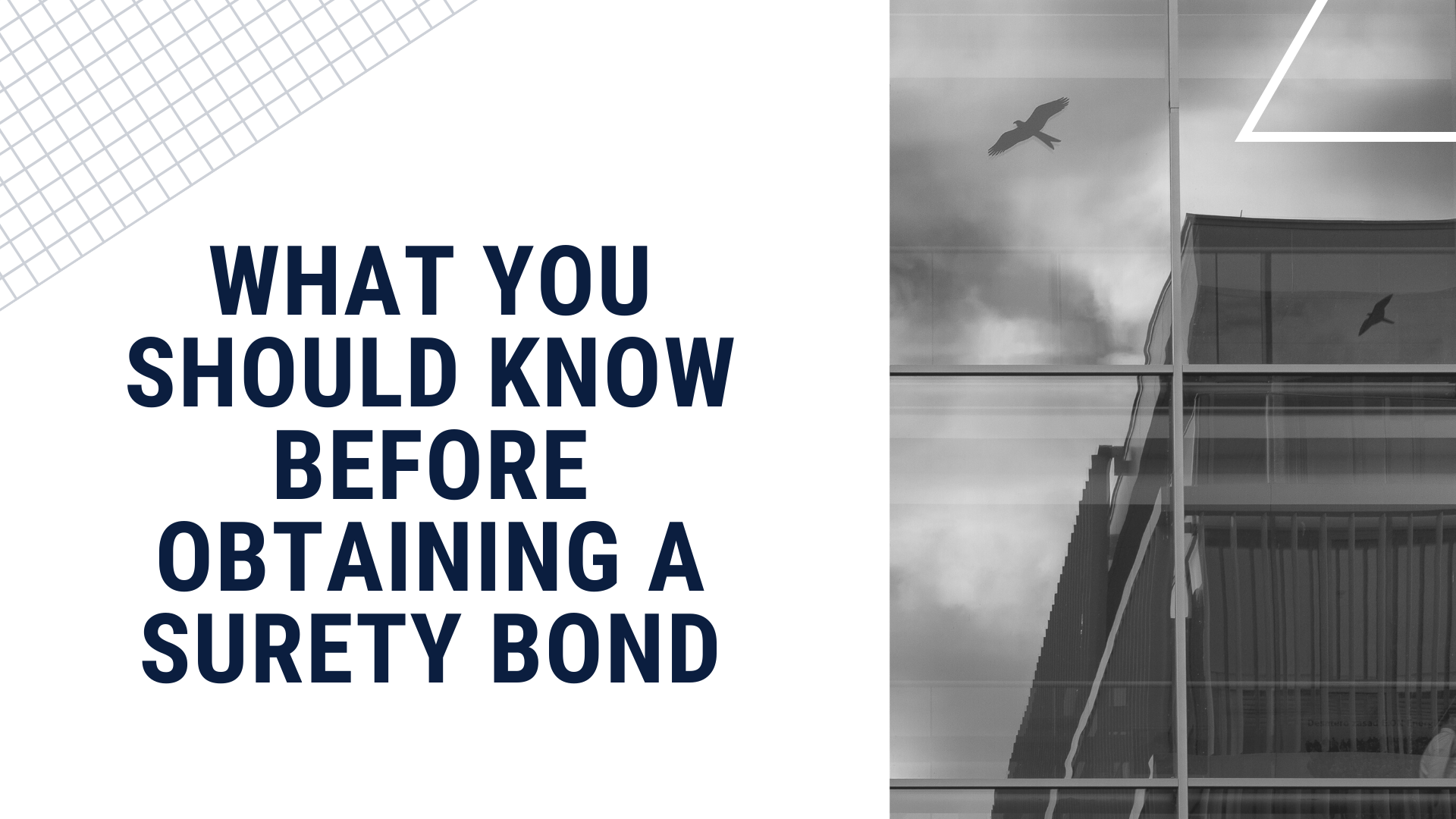 surety bond - To secure a surety bond, what credit score do you need - sky in black and white