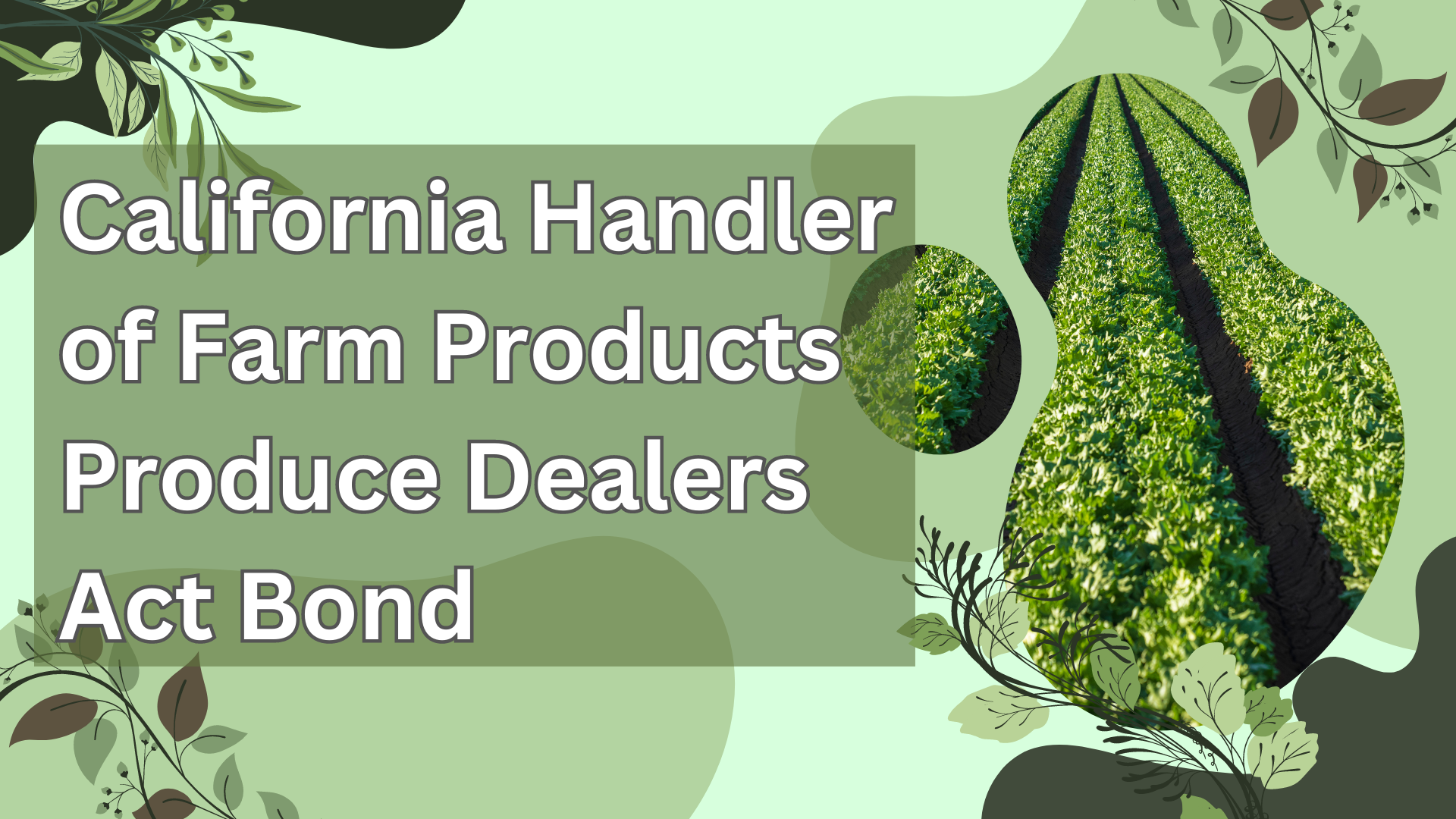 Surety Bond-California Handler of Farm Products Produce Dealers Act Bond