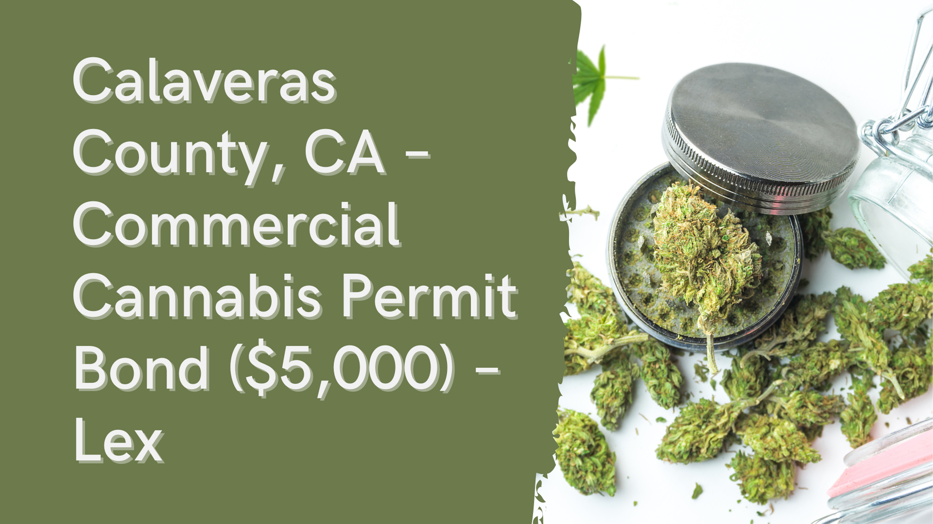 Surety Bond-CA – Calaveras County, CA – Commercial Cannabis Permit Bond ($5,000) – Lex