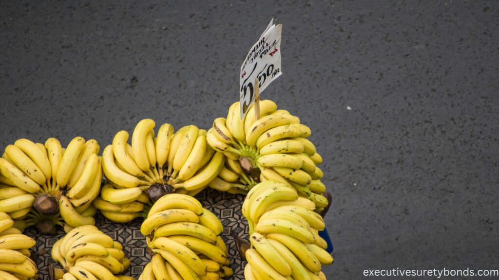 City of Bastrop, LA – Peddler ($1,500) Bond
