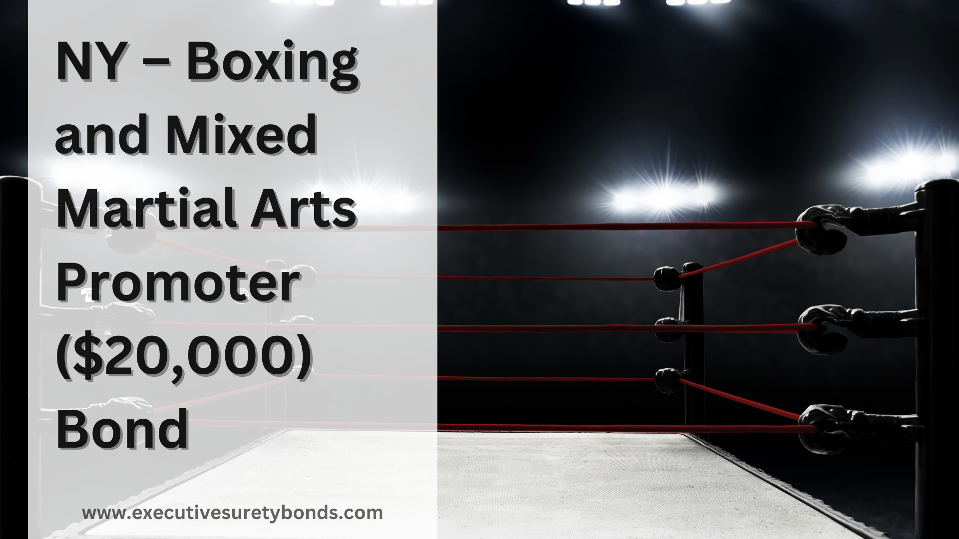 Surety Bond-NY – Boxing and Mixed Martial Arts Promoter ($20,000) Bond