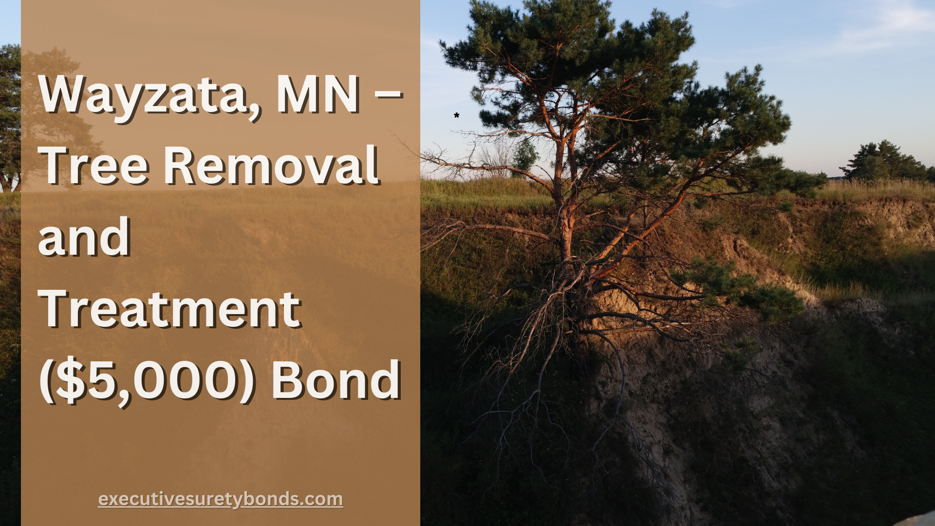 Wayzata, MN – Tree Removal and Treatment ($5,000) Bond