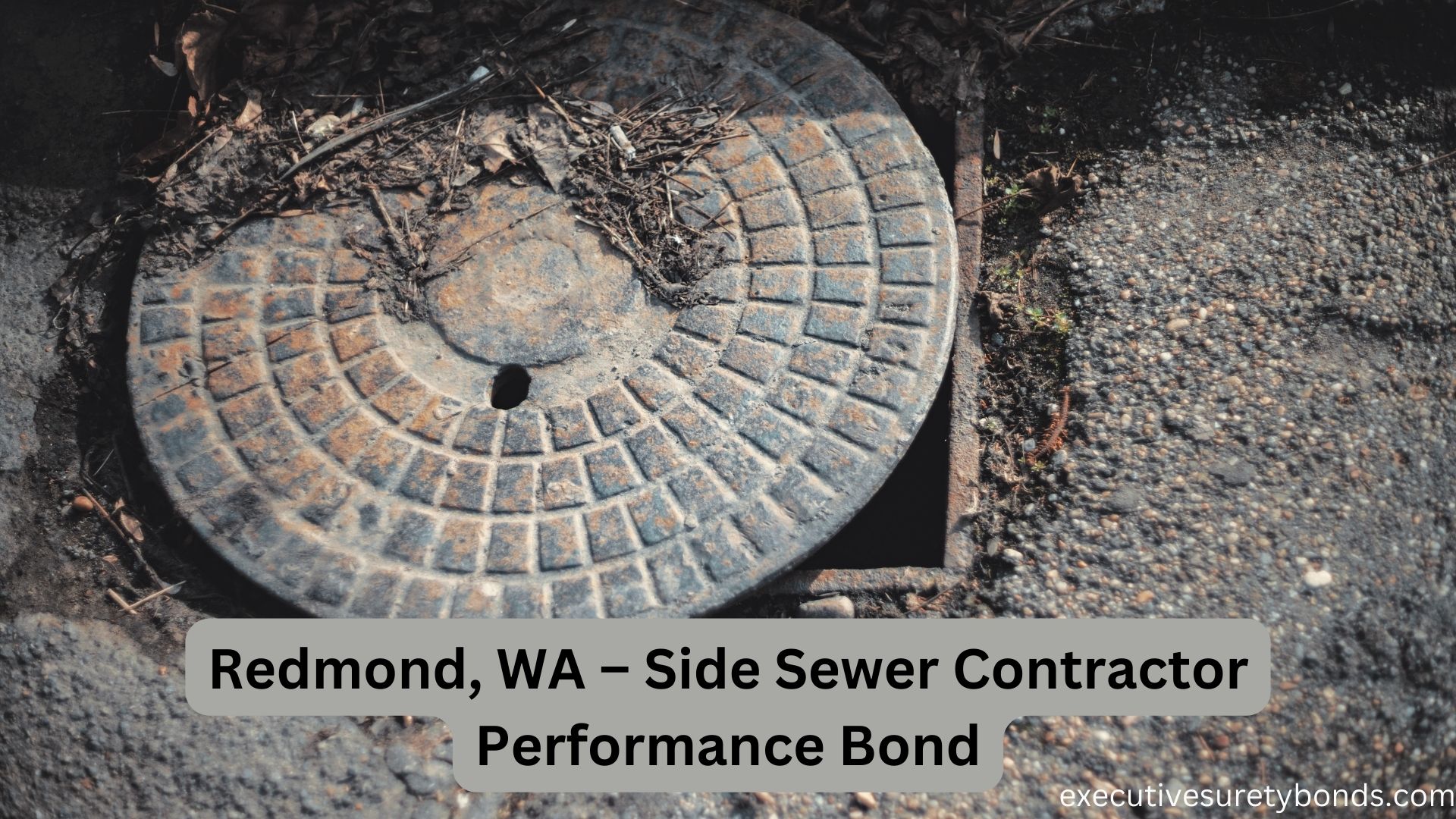 Securing Quality The Redmond WA Side Sewer Contractor Performance Bond Securing quality the redmond wa side sewer contractor performance bond