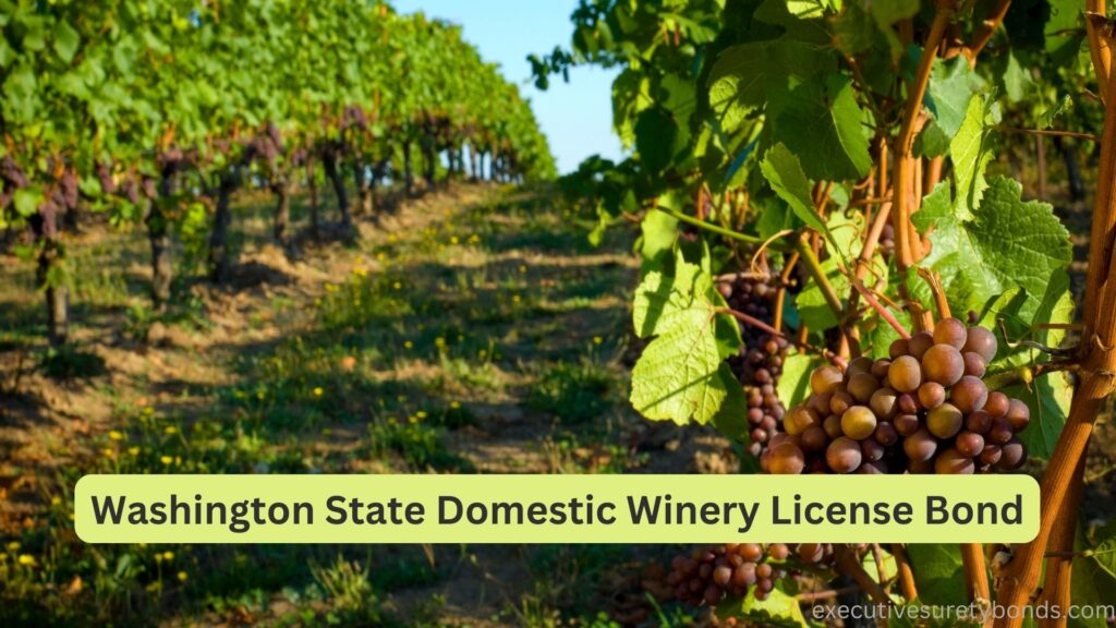Washington State Domestic Winery License Bond