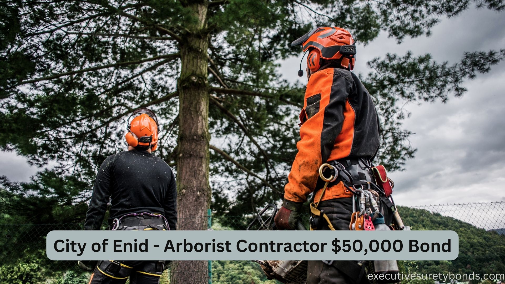 City of Enid - Arborist Contractor $50,000 Bond: Ensuring Tree Care ...