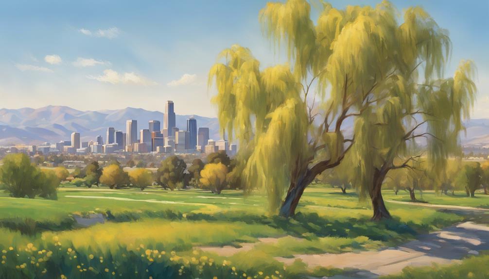 willows blanket encroachment permit