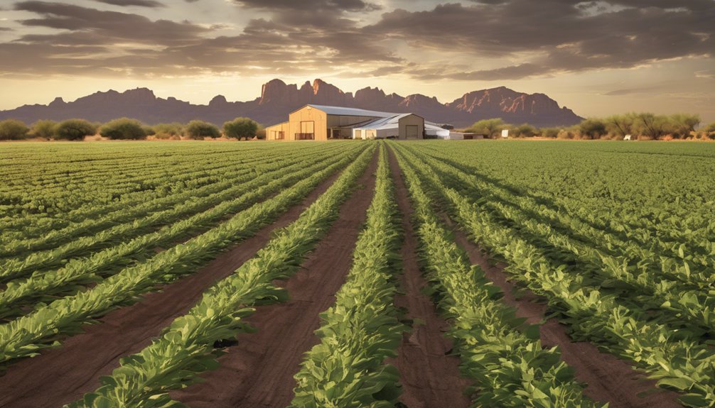 grower warehouse certificate application process