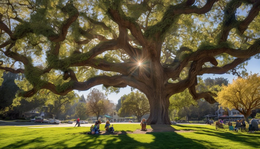 danville s tree conservation efforts